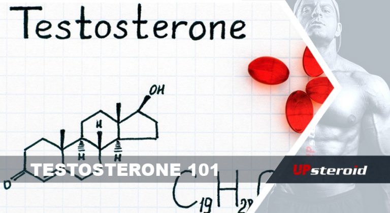 testosterona 101