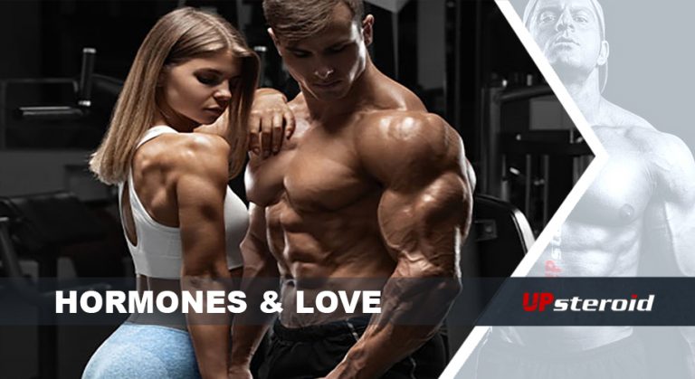 hormonas amor