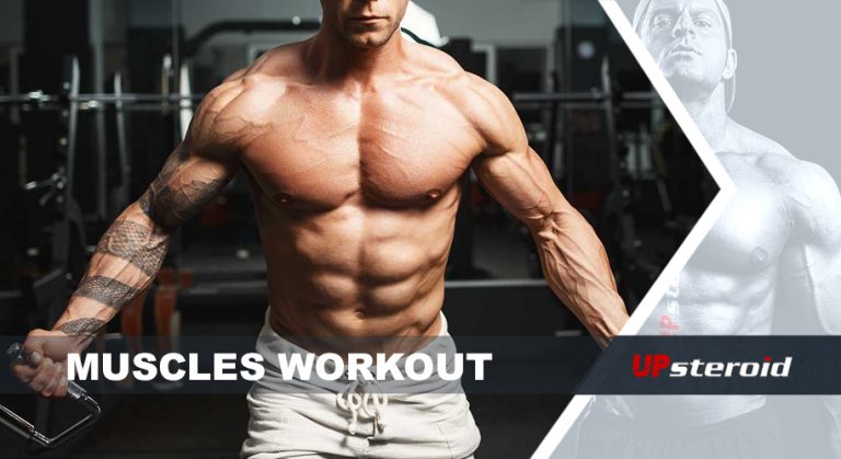 entrenamiento muscular