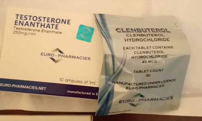 19.11.2019 TOULON, FRANCIA