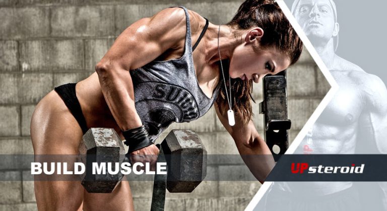 desarrollar músculo