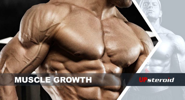 crecimiento muscular