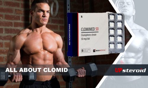 Todo sobre Clomid UP
