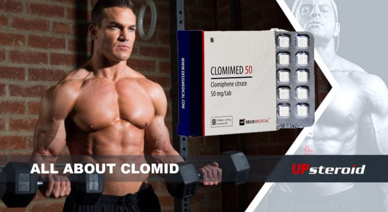 Todo sobre Clomid UP
