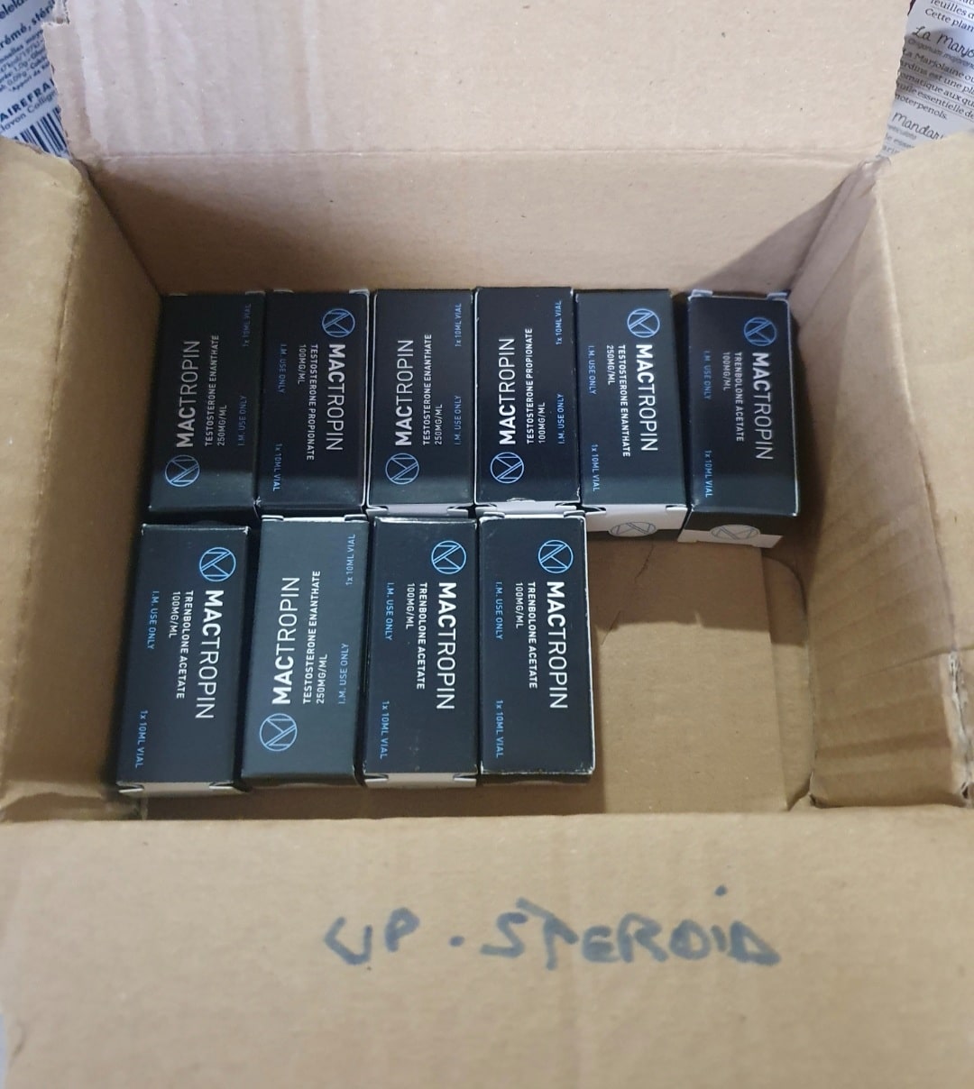 2021 07 23 60fadf7de9b40 Captura de pantalla 20210723 172525 Galería