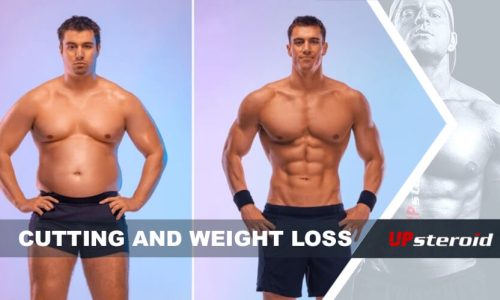 blog arriba cortar pérdida de peso