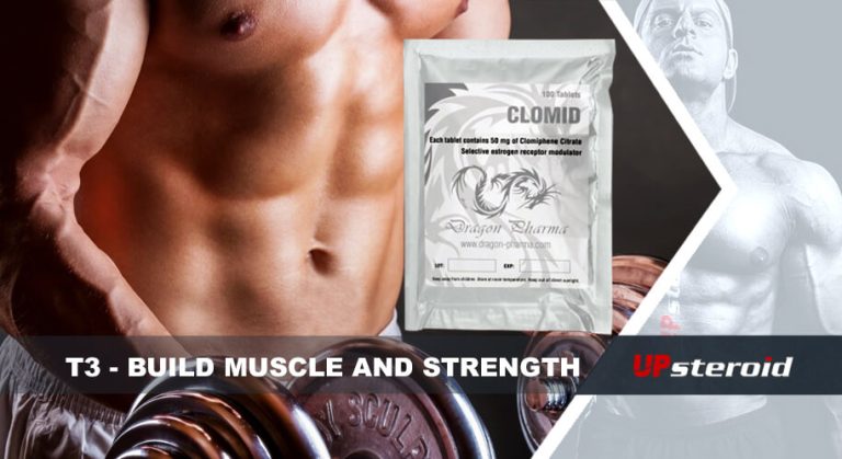 Blog arriba t3 desarrolla fuerza muscular