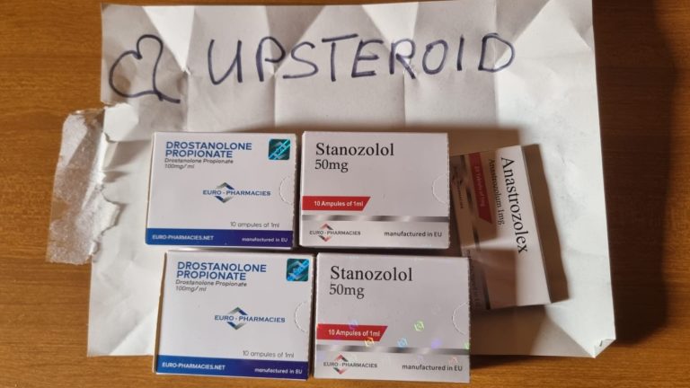 2022 08 10 62f3ea7c2293a WhatsAppImagen2022 08 04at19.57.31