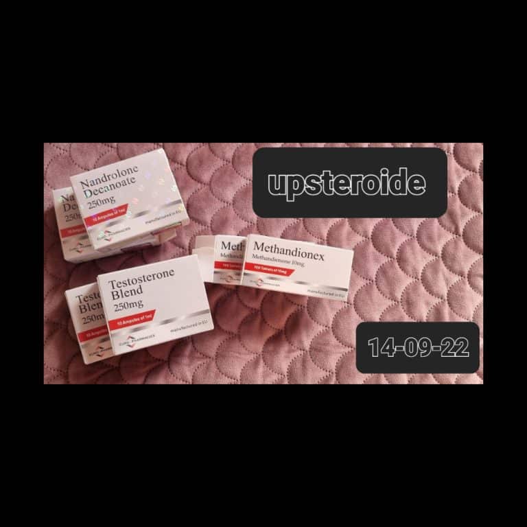 2022 09 14 6321eb87d9508 logotipo9 14 165445