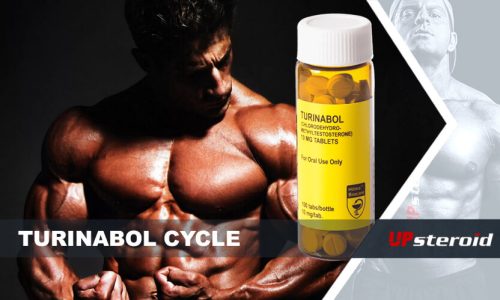 Blog sobre el ciclo de turinabol
