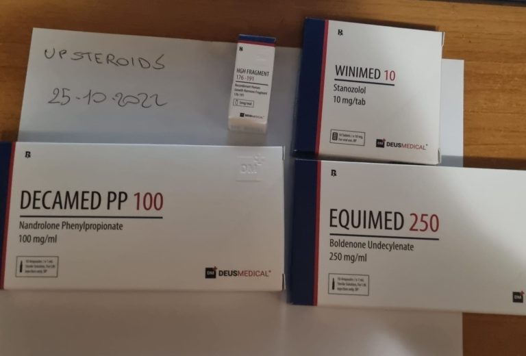 2022 10 25 6358228590d17 WhatsAppImagen2022 10 25a las 19.52.27