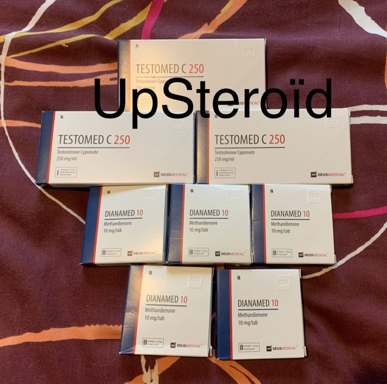 2022 11 23 637ddea39fc74 WhatsAppImagen2022 11 23at09.45.02