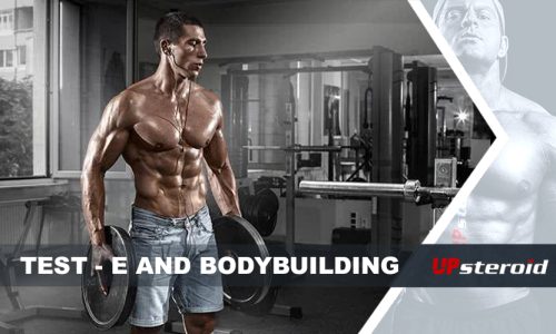 blog up prueba e culturismo