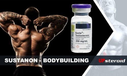 Blog de Susta Bodybuilding