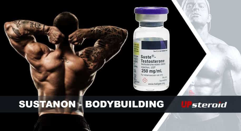 Blog de Susta Bodybuilding