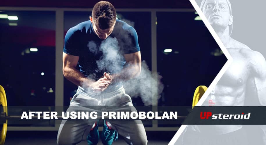 Blog actualizado después de usar Primobolan