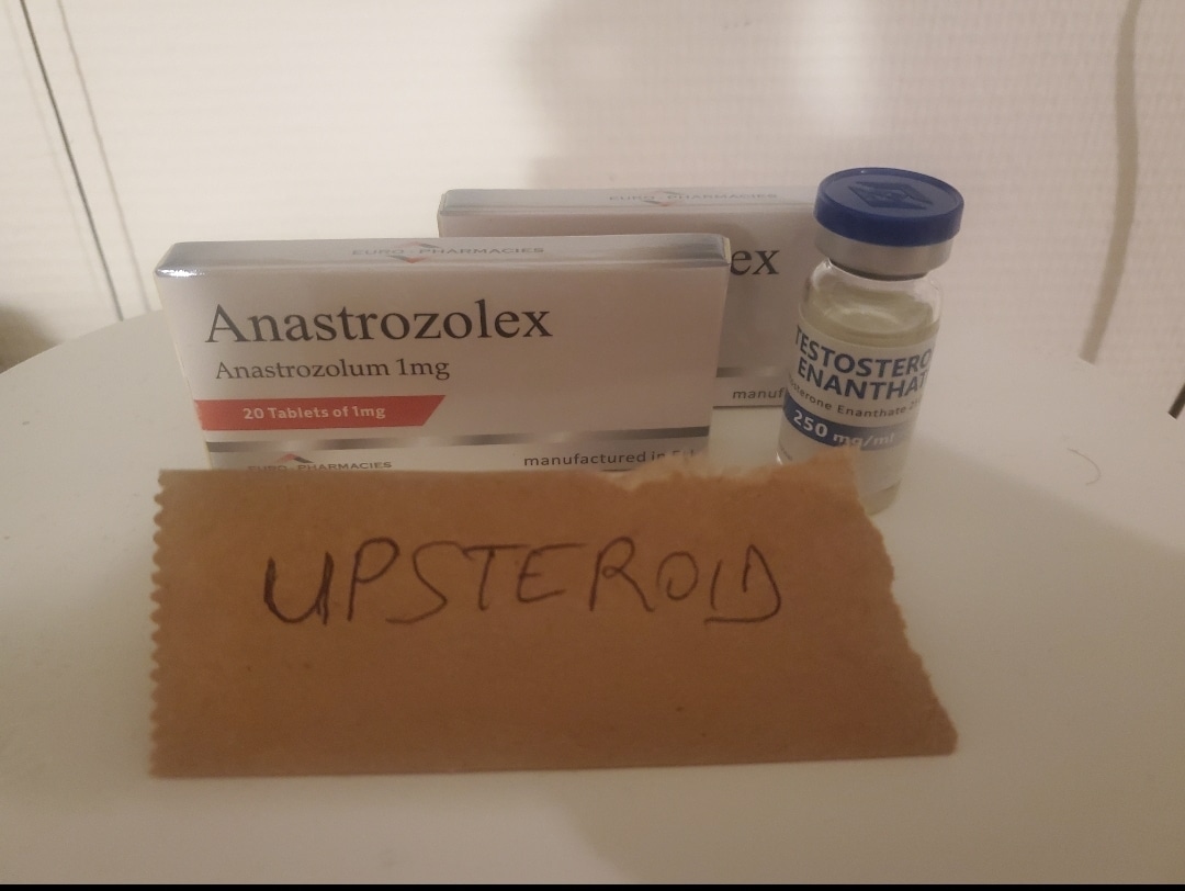 2023 08 23 64e5fdcdb29f6 Captura de pantalla 20230823 143549 Galería