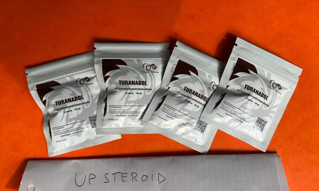 2023 09 08 64fb49f8c8414 texto2