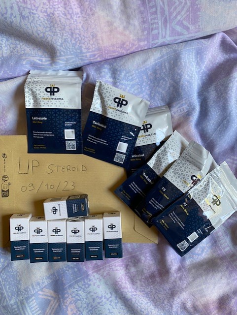 2023 10 09 6523cafb403d8 miniatura IMG 0839