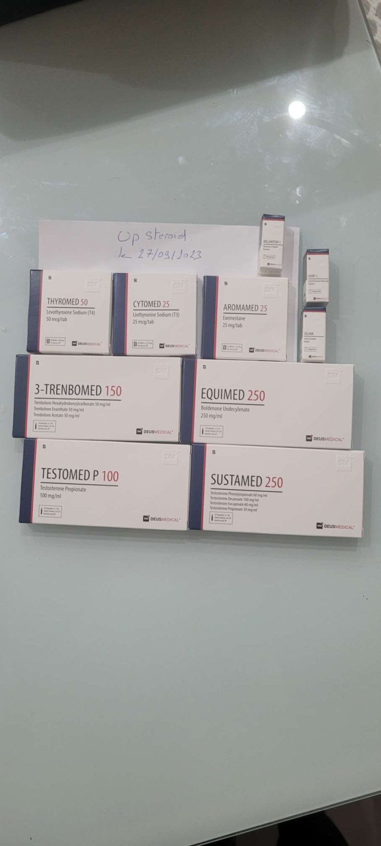 2023 10 10 6525196e83b2c Comprimir 20231010 111118 8239