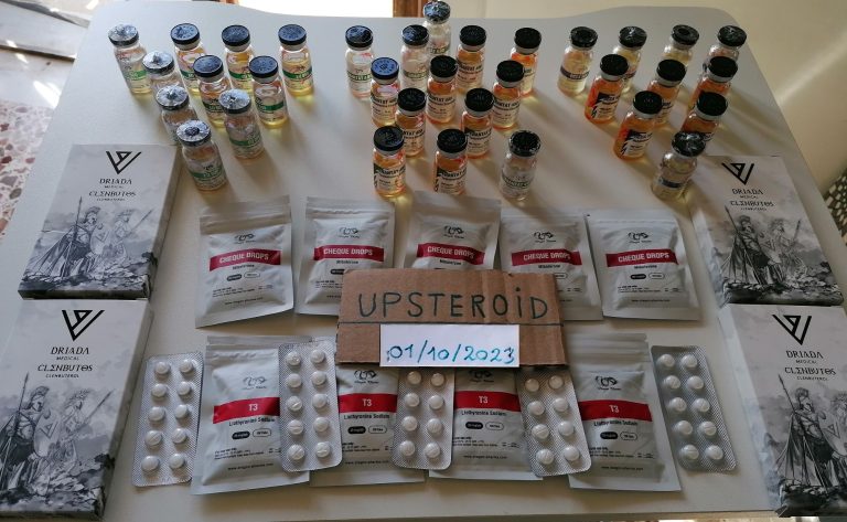 2023 11 03 654553d2419d8 IMG 20231029 134432 editar 657761578817859