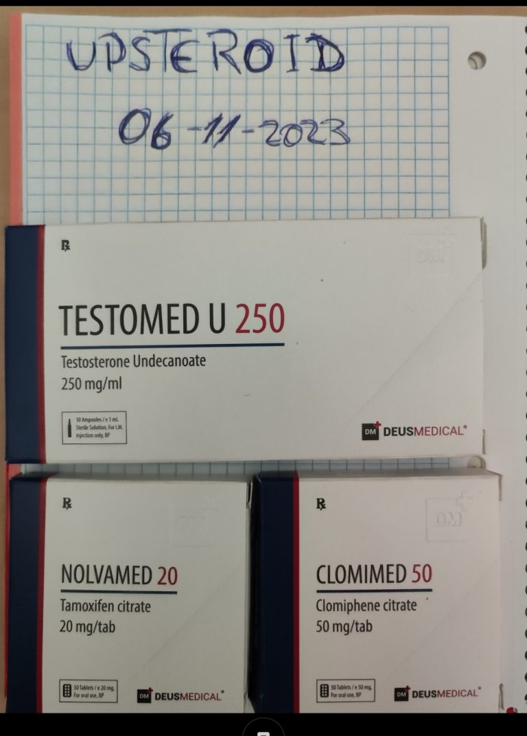 2023 11 09 654cdfec6ab68 Captura de pantalla 2023 11 09 11 34 03 063 com.miui .gallery editar