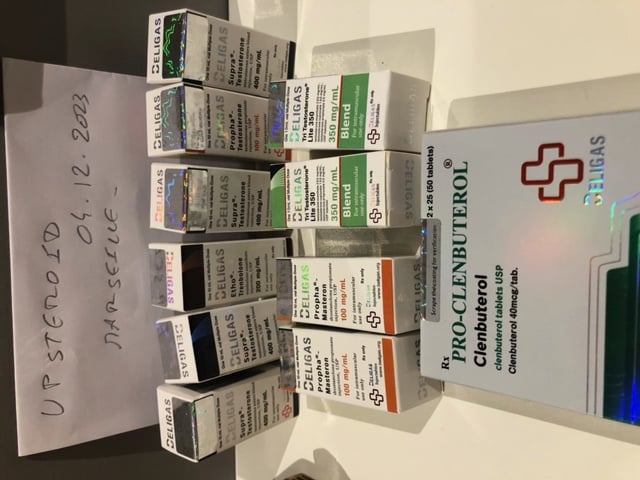 2023 12 08 6572fd6552e42 imagen0