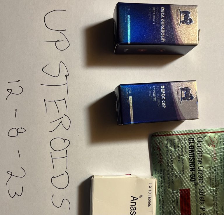 2023 12 13 657a3b6d751d1 7E2860C1 01F6 4510 8512 B993490C233E