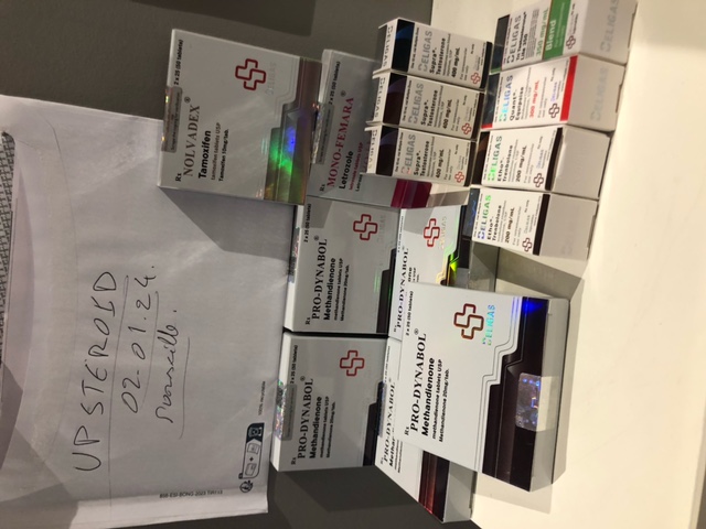 2024 01 02 6593e2741e3ee imagen0