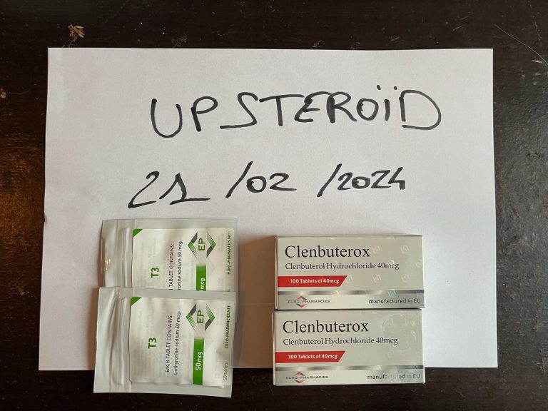 2024 02 21 65d62b8c7742f imagen0