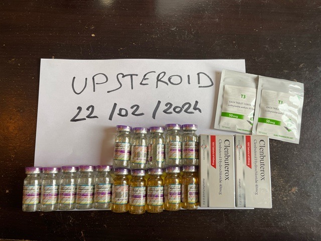 2024 02 22 65d785f66df78 imagen0