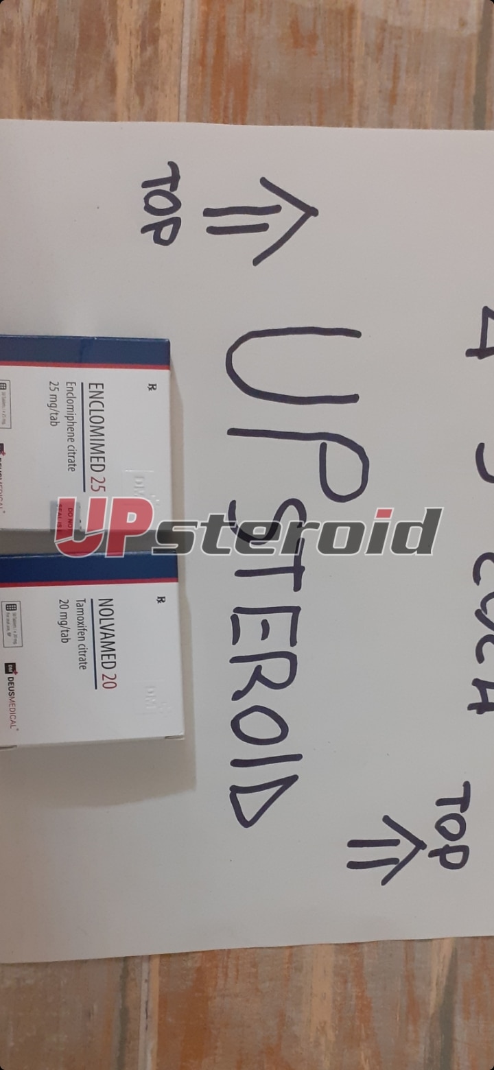 2024 03 04 65e635ce1c044 Captura de pantalla 20240304 215539 Galería