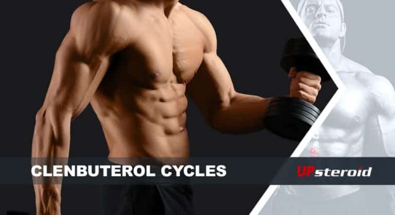 Blog up clenbu ciclo