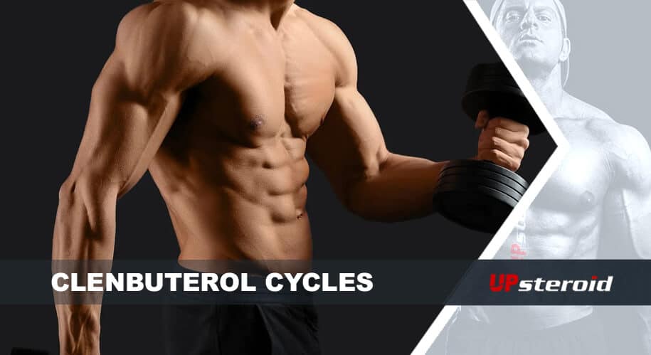 Blog up clenbu ciclo