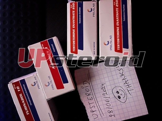 2024 06 30 6681ef9083575 esteroides