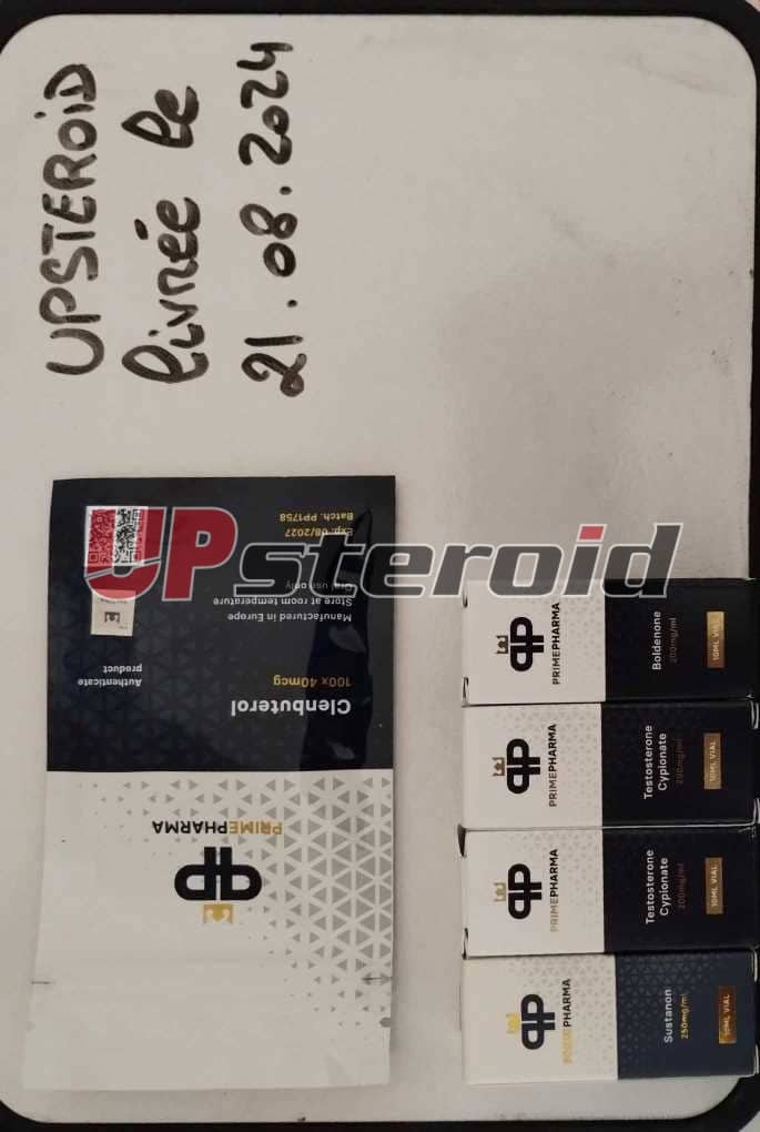 2024 08 22 66c7402cccfb7 Creación de Messenger 0d43f1c6 18cf 4778 899a 755a60d58aa1