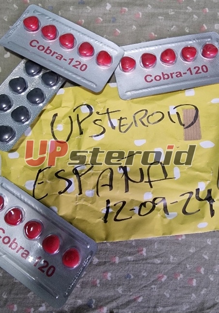 2024 09 12 66e380642c4ba retoque 2024091301554147