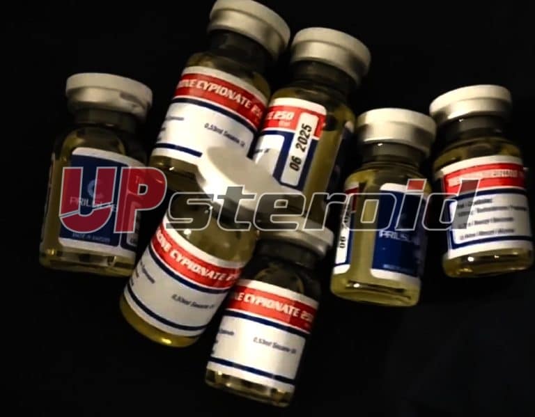 2024 10 19 6714030f55379 Captura de pantalla 20241019 210419 Fotos