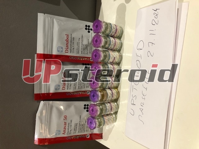 2024 12 13 675bedb2ee798 IMG 5201