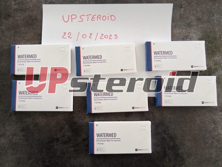 2025 02 25 67bdaf54419d5 Fotos1a