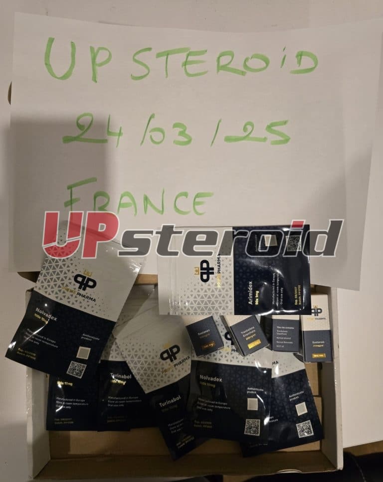 2025 03 27 67e4a8acee8ac Captura de pantalla 20250327 022319 Galería