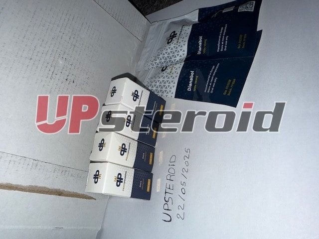 2025 05 26 68345fe1df6f2 imagen0