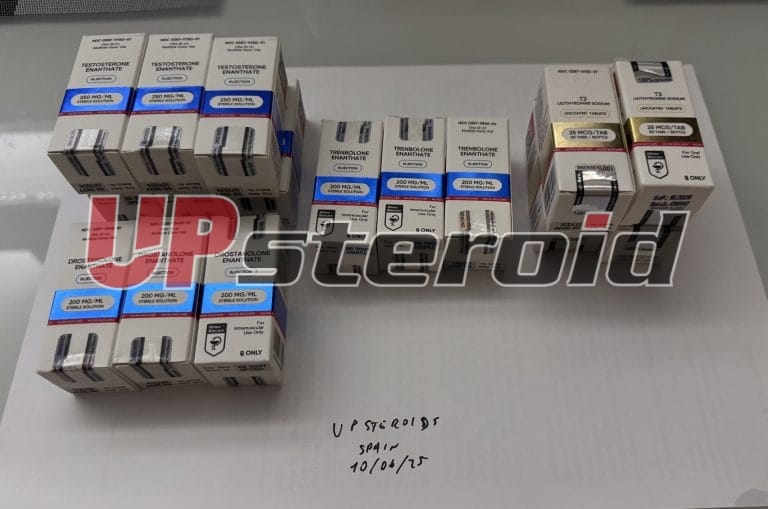 2025 06 12 684a84693067a Foto12 6 25053403