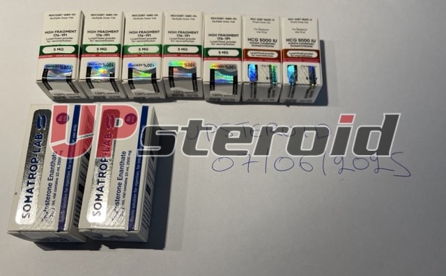 2025 07 07 686bc8c3c46f9 tMedium