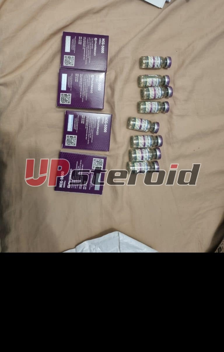 2025 08 04 68913be446f01 Captura de pantalla 20250805 010032 Galería