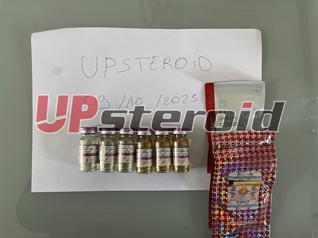 2025 10 09 68e7a0c998d63 imagen0