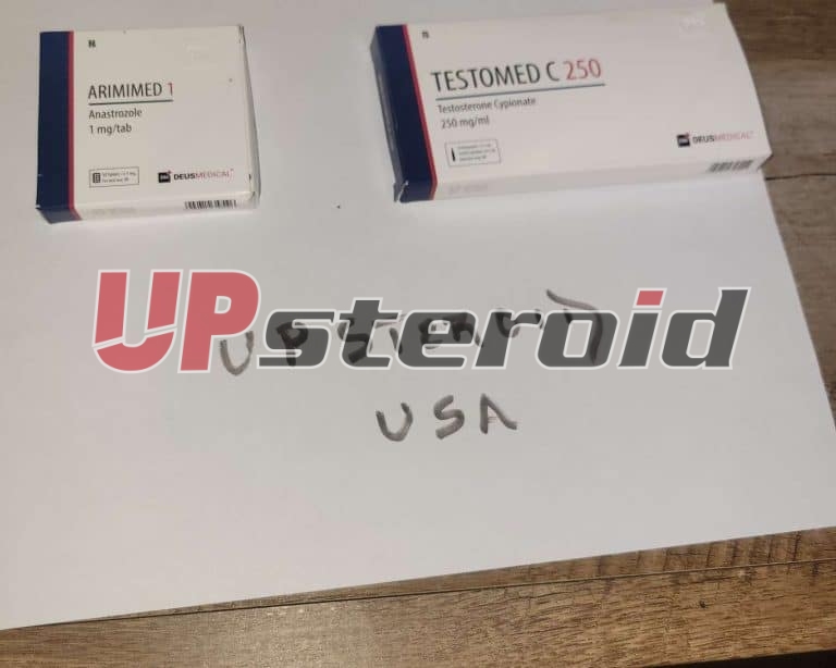 2025 10 31 6904483a59f69 Imagen 2025 10 31 00 24 12