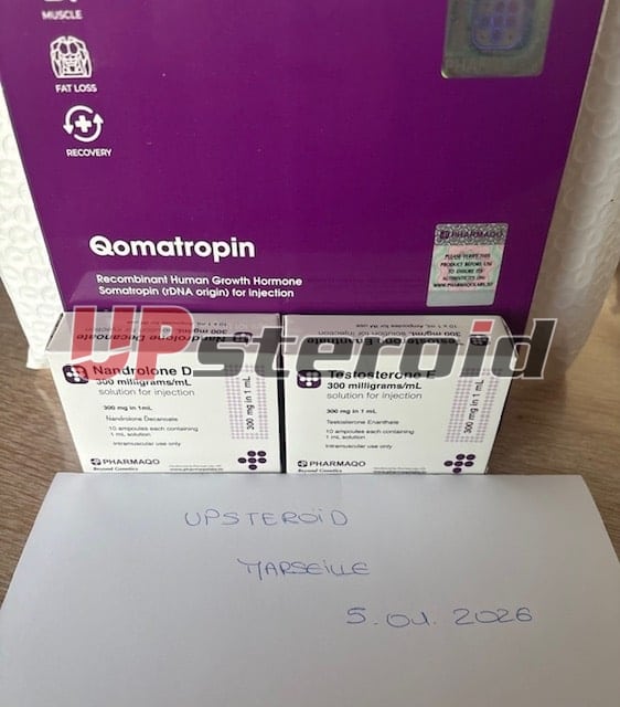 2026 01 06 695cc7139e385 imagen0