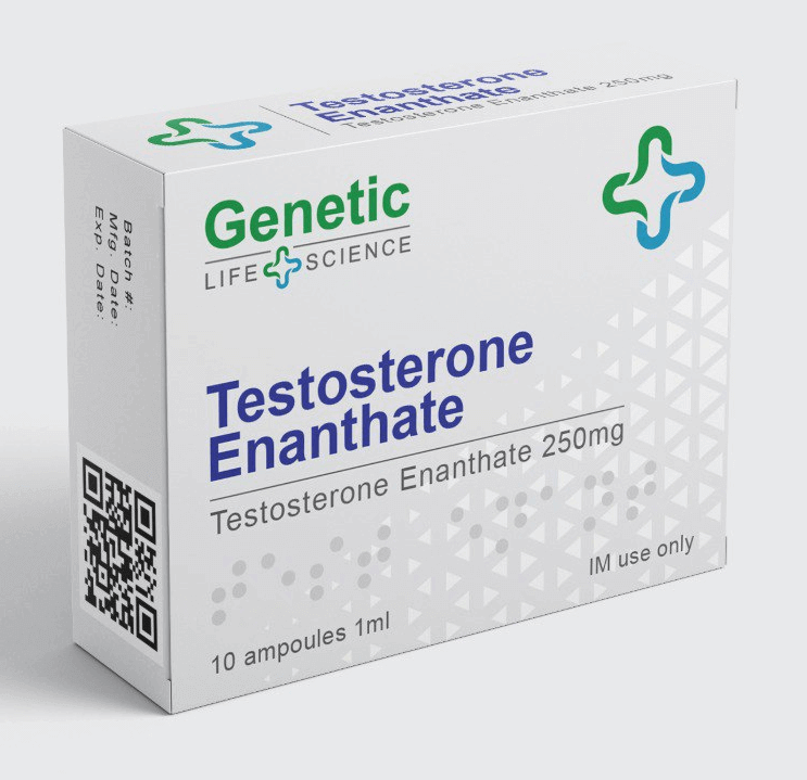 enantato de testosterona genética