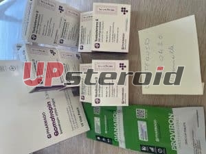 06/02/2026 - Marsella - Francia